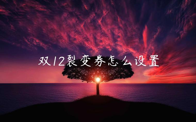 雙12裂變?nèi)趺丛O置